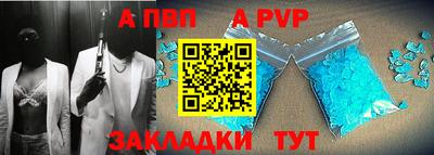 тгк Бийск