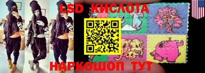 тгк Бийск