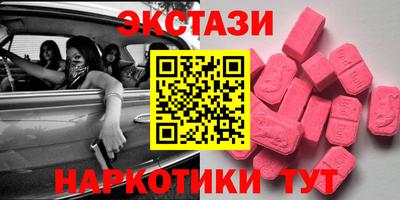 тгк Бийск